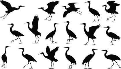 Fototapeta premium Heron and crane bird silhouettes in multiple poses, black wildlife vector illustration set for wetland nature, flying birds, and elegant avian design