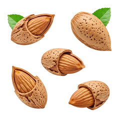 Five almonds with shells and leaves isolated on a transparent background