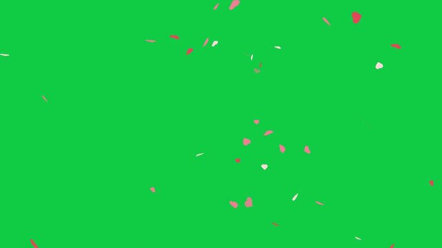 seamless looping of particle pink heart shape falling down for decoration isolated on chroma key green screen background for overlay motion graphic