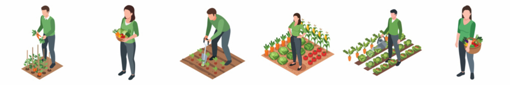 Isometric Detailed Illustration Showing Various Stages of Home Gardening Process