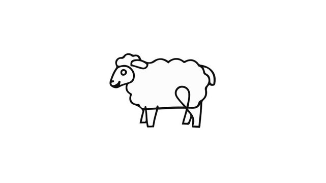 Video Sheep Icon for Eid al-Adha