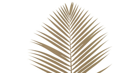 Fototapeta premium A close-up of a golden palm leaf with long, thin fronds on a clean background