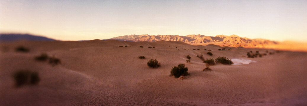 Panoramic view of Mesquite Flat Sand Dunes at sunset, Death Valley National Park, California, United States