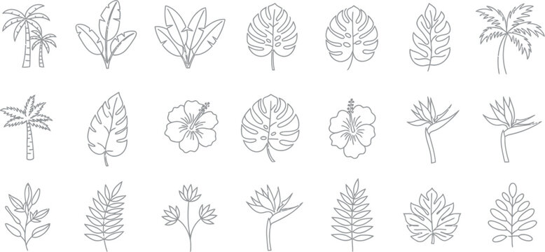 Collection of black and white tropical botanical line art featuring various stylized palm trees monstera leaves hibiscus flowers and bird of paradise blooms for design