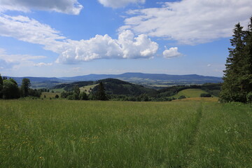 Obraz premium Summer meadow with rolling hills and dramatic clouds under blue sky 