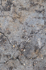 Cracked Asphalt Texture