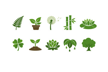 Green Plants and Botanical Icons Set for Nature, Gardening, and Eco Design
