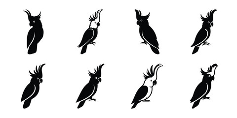 Set of silhouette cockatoo in various poses isolated on background. Animal Vector elements for design. © ganesh106