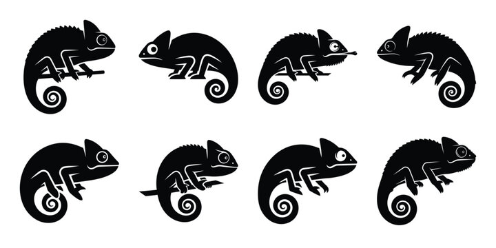 Set of silhouette chameleon in various poses isolated on background. Animal Vector elements for design.