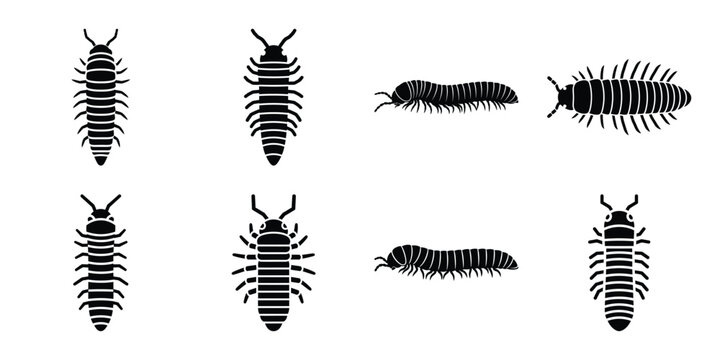 Set of silhouette millipede in various poses isolated on background. Animal Vector elements for design.