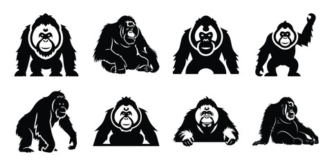 Set of silhouette orangutan in various poses isolated on background. Animal Vector elements for design. © ganesh106