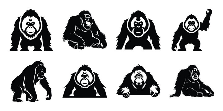 Set of silhouette orangutan in various poses isolated on background. Animal Vector elements for design.