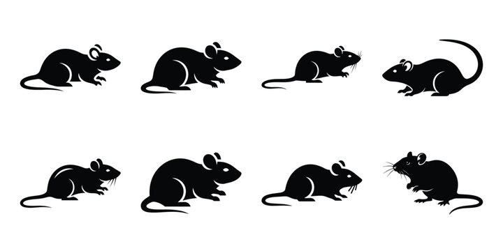 Set of silhouette rat in various poses isolated on background. Animal Vector elements for design.