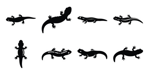 Fototapeta premium Set of silhouette salamander in various poses isolated on background. Animal Vector elements for design.