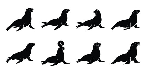 Set of silhouette sea lion in various poses isolated on background. Animal Vector elements for design. © ganesh106