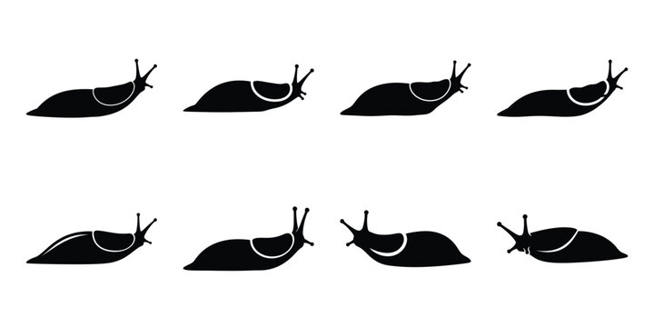 Set of silhouette slug in various poses isolated on background. Animal Vector elements for design.