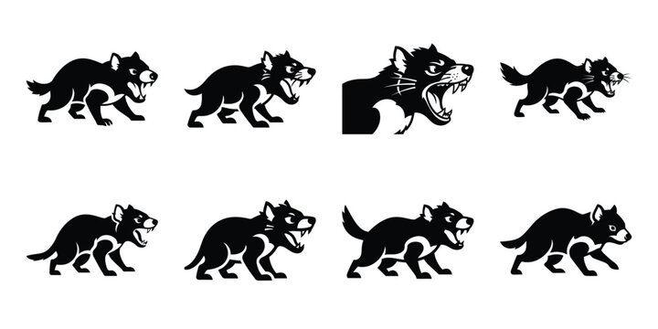 Set of silhouette tasmanian devil in various poses isolated on background. Animal Vector elements for design.