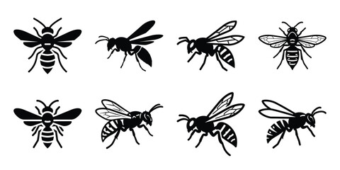 Set of silhouette wasp in various poses isolated on background. Animal Vector elements for design. © ganesh106