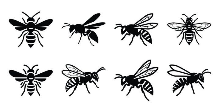 Set of silhouette wasp in various poses isolated on background. Animal Vector elements for design.