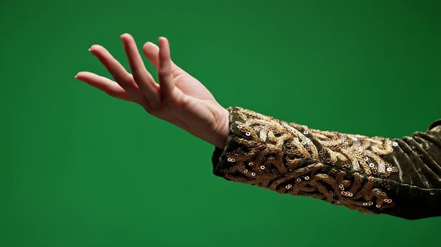 Hand extending from a velvet sleeve adorned with ornate gold embroidery and sequins on green