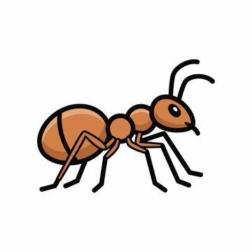 Cartoon Ant