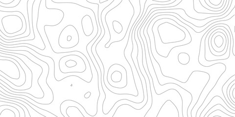 Minimal grey white geographic contour illustration with elegant elevation flow © RoyhanaFatema