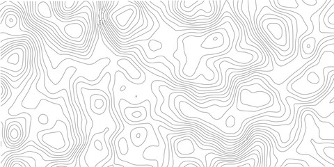 Subtle grey and white topographic map texture featuring flowing geographic curves © RoyhanaFatema