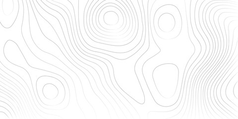 White textured abstract background featuring detailed topographic contour mapping with smooth geographic elevation lines © RoyhanaFatema