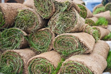 Lots of rolled up grass rolls. Urban landscaping