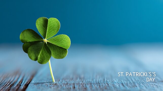 A vibrant four leaf clover rests on a weathered wooden surface