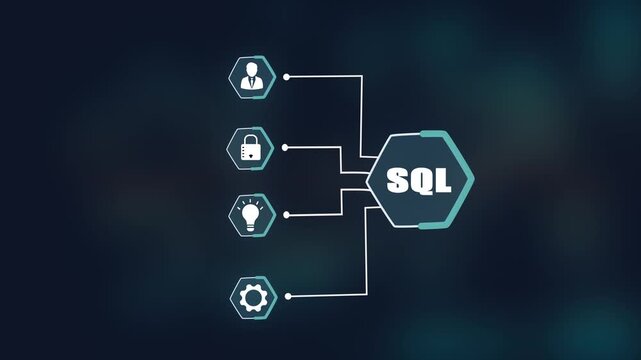 SQL structured query language concept, database management system technology, digital data storage analysis, computing network security.