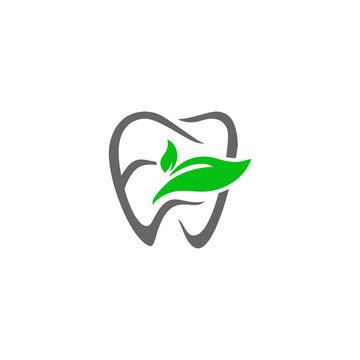 Tooth with Green Leaves Illustration Design.