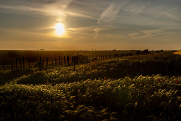 An idyllic evening Sunset on a summer's evening