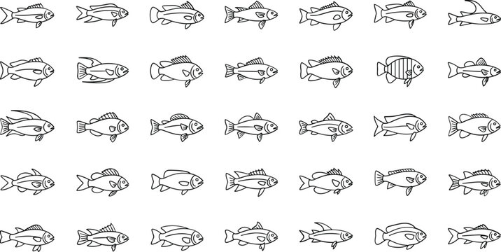 Collection of various fish illustrations in simple black line art