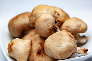 Close-up of raw Japanese mushrooms