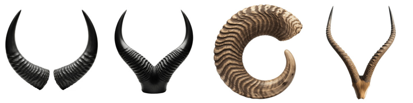 Set of various animal horns and ram antlers isolated on white background