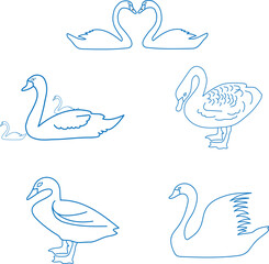 Cartoon drawings of birds, swans on a lake with elegant feathers and beaks
