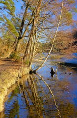 Winterstimmung am B&auml;rensee bei Stuttgart