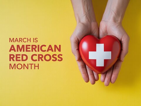 March is American Red Cross Month Announcement with Adult Hands Holding a Red Heart Symbol for Nonprofit Charity and Blood Donation Drive