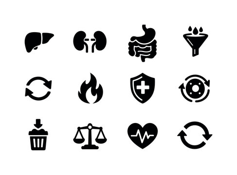 Detox. Solid icon set of body cleanse process: liver icon, kidney icon, digestive system, toxin filter, circulation arrows, metabolism flame,