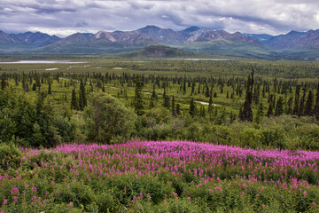 Mountains on the Glenn Highway in Alaska © Kari