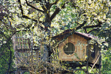 Baumhaus, Frühling, Kirschbaum, Blüte, Blüten, Abenteuer, Kinderspielplatz, Kindertraum, tolles...