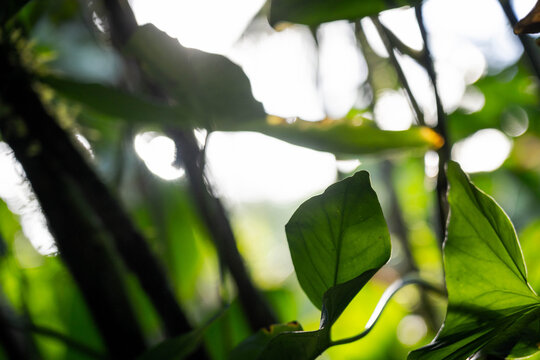 Chica en la piscina de un hotel en Jarabacoa disfrutando de vacaciones