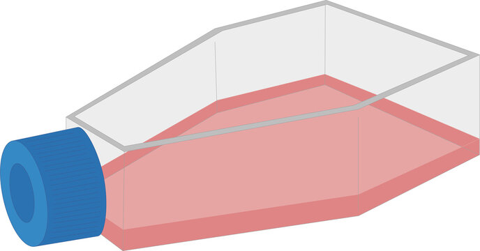 Cell Culture Flask with Pink Growth Medium for Laboratory Research