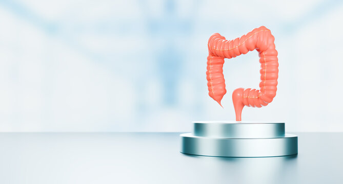 3D rendering of a healthy colon on a victory podium; a metaphor for early diagnosis of colon cancer and overcoming colorectal diseases.