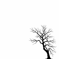 Fototapeta premium Dead tree silhouette black branch isolated on white