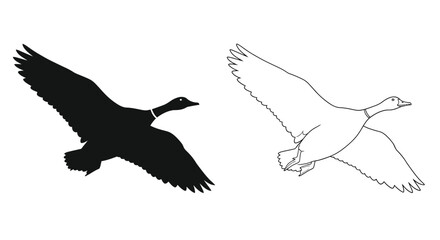 Two geese in flight a silhouette and a line drawing © mostafigur