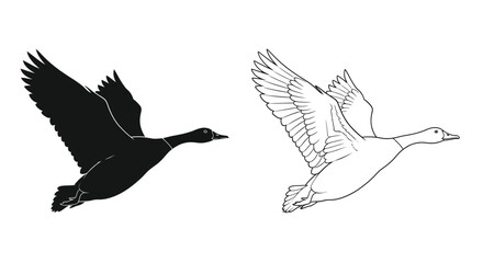 Two geese in flight one black and one white depicted in linear style © mostafigur