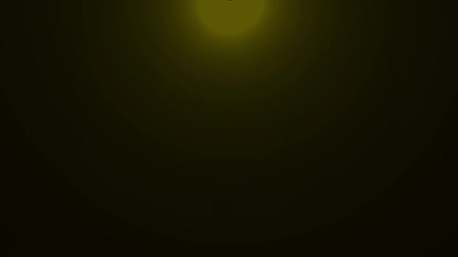 Emergency Lights Overlays. Nine loop-ready variations on clean black backgrounds. Police car, fire truck, ambulance flashing blue and red light glows. 4k