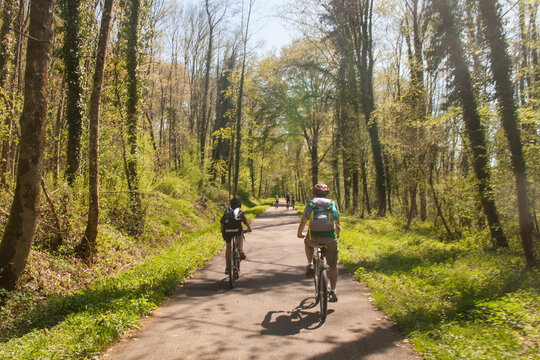 cycliste sur une route foresti&egrave;re au printemps, sortie v&eacute;lo par une journ&eacute;e ensoleill&eacute;e